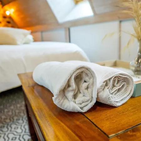 Daire Centre Historique