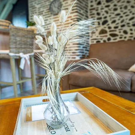 Centre Historique Daire Pau