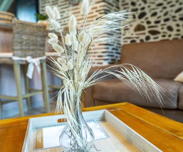 Centre Historique Διαμέρισμα Pau