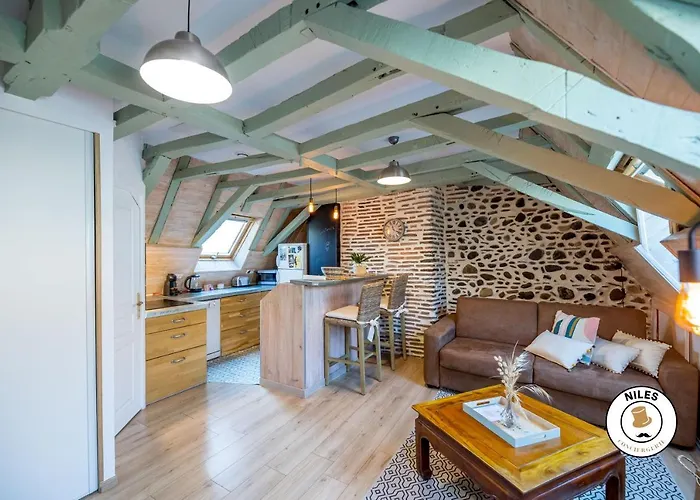 Daire Centre Historique Pau