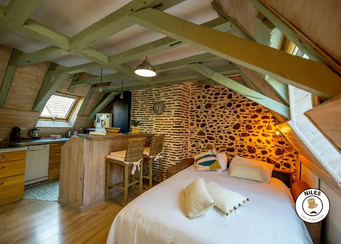 Centre Historique * Pau