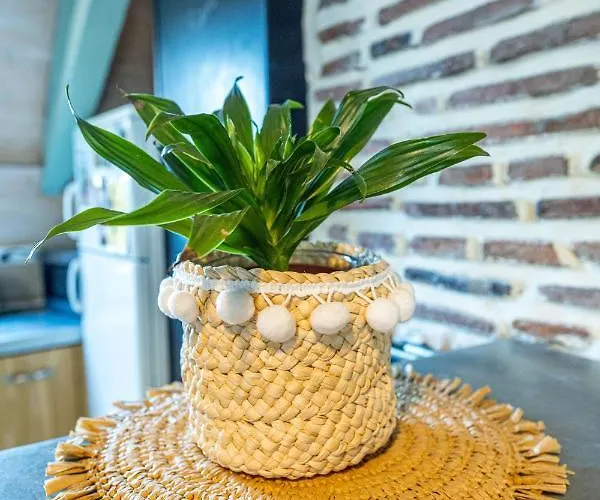 Centre Historique Lejlighed *