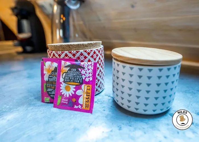 Daire Centre Historique Pau